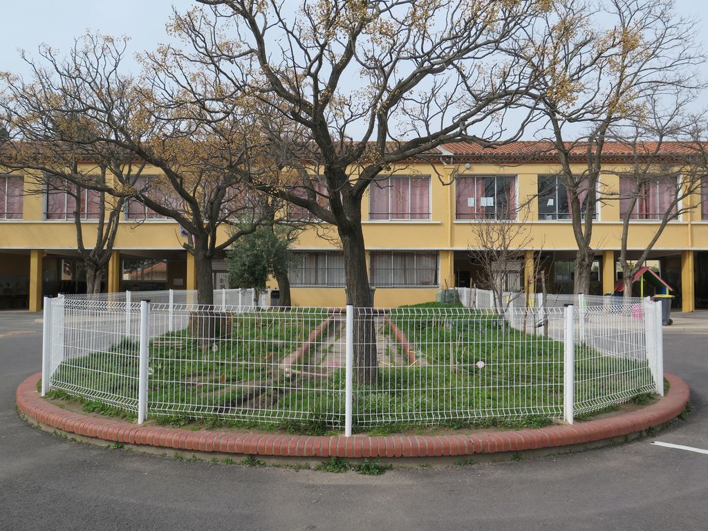 Cour. Jardin séparant la cour des filles de celle des garçons.
