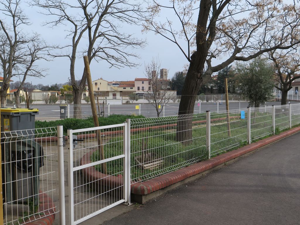 Cour. Jardin séparant la cour des filles de celle des garçons.