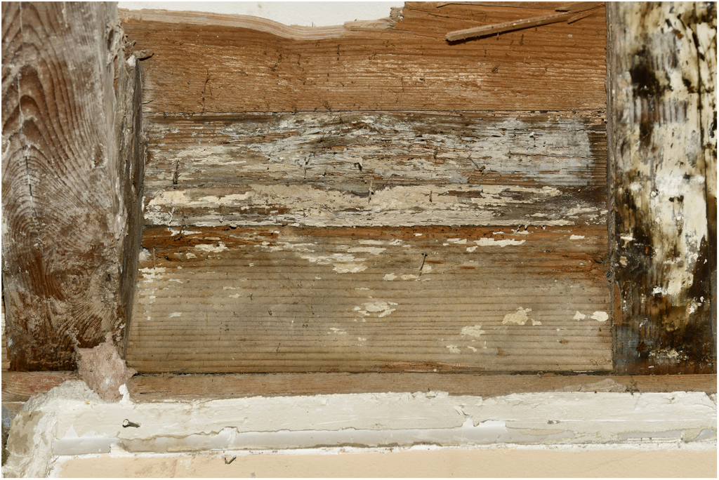 Parcelle B 1840. RDC pièce de droite. Closoir