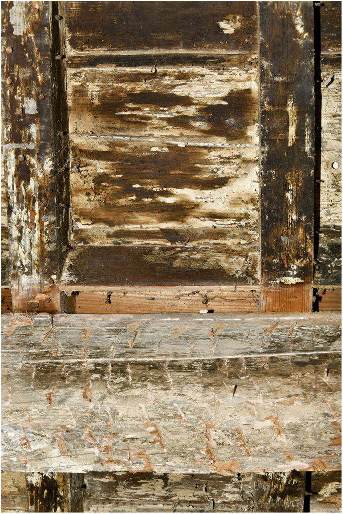 Parcelle B 1840. RDC pièce de droite. Closoir. Animal