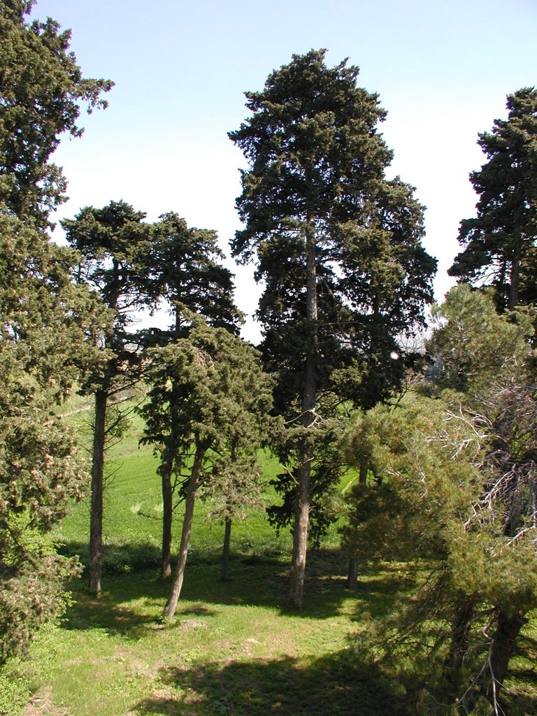 Parc. Vue vers l’est.