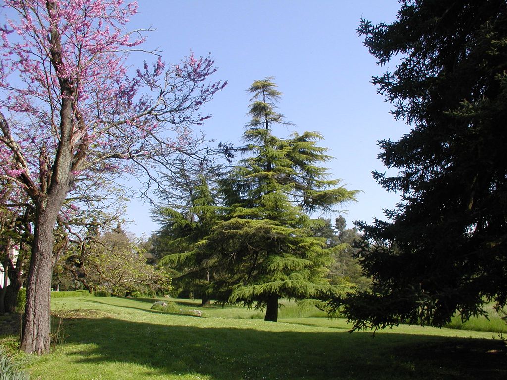 Parc. Vue depuis la terrasse sud-ouest.