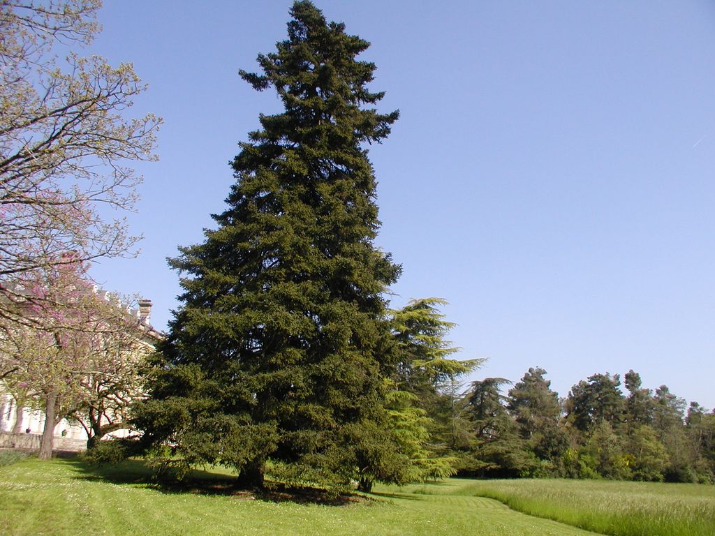 Parc. Vue depuis le sud-ouest.