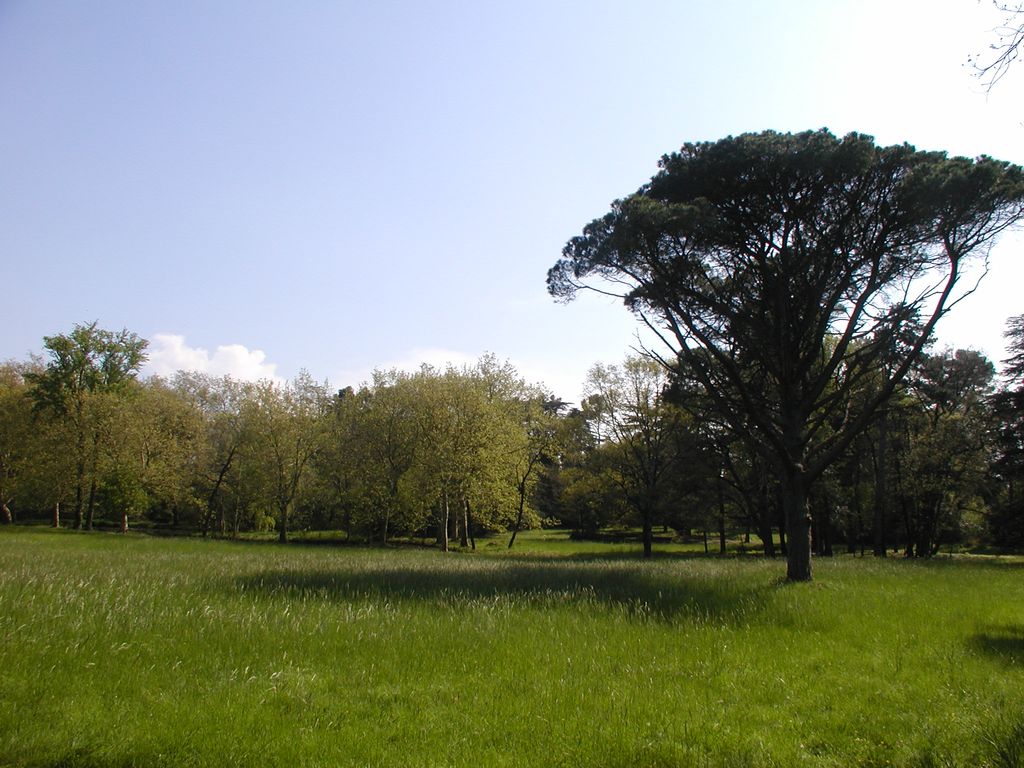 Parc. La prairie centrale.