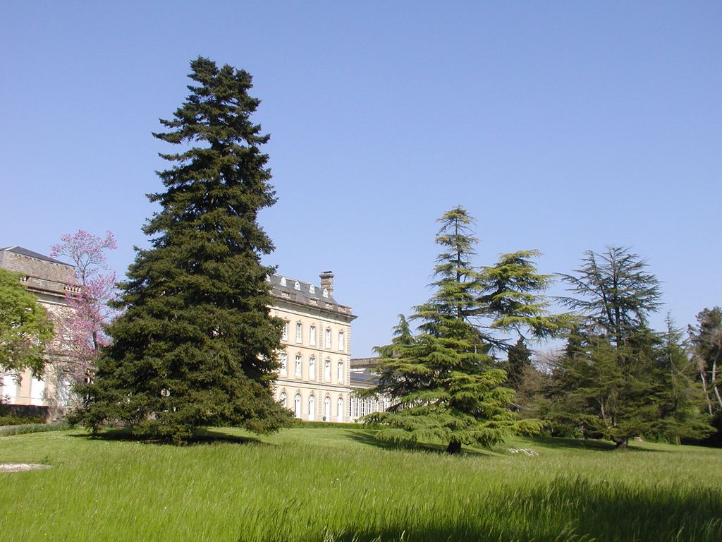 Parc. La prairie centrale.