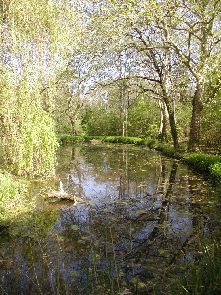 Parc. La pièce d’eau.