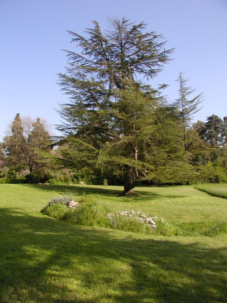 Parc. La prairie centrale. La source et l’alimentation de la pièce d’eau.