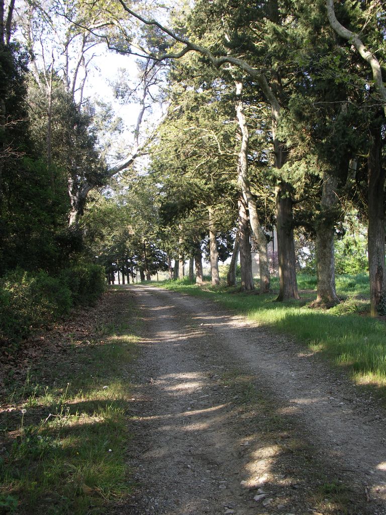 Parc. Allée d’arrivée côté sud.