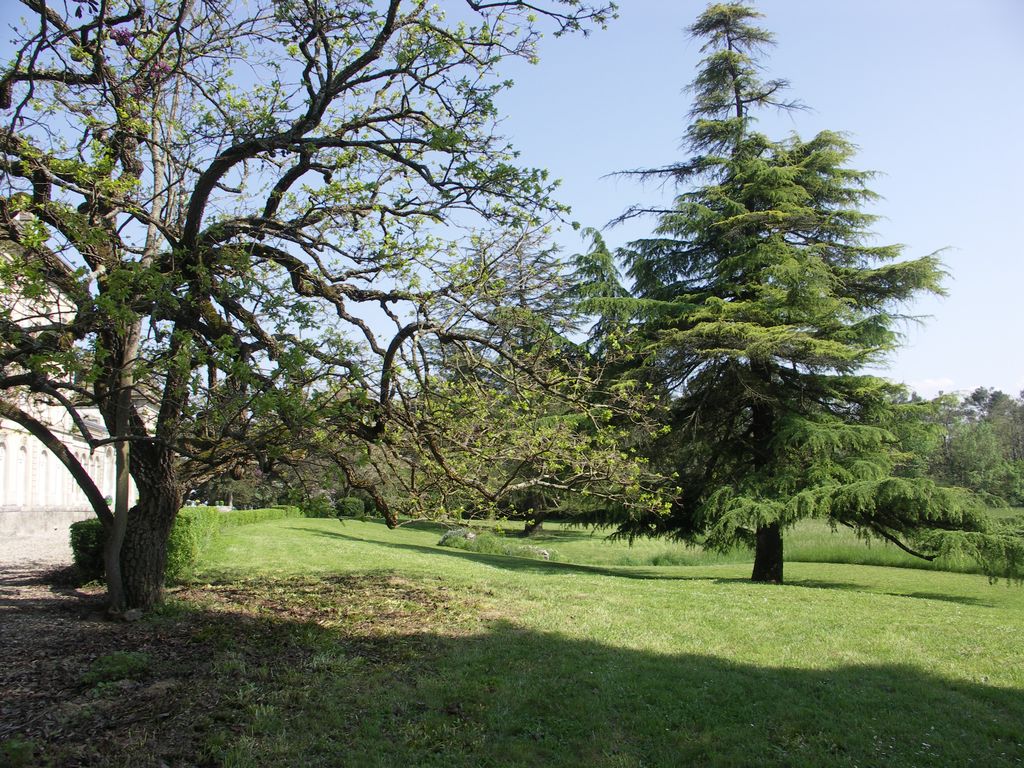 Parc. Vue depuis la terrasse sud-ouest.