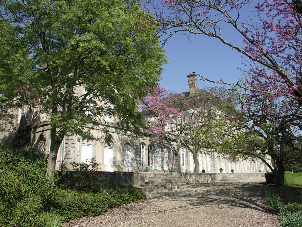 Parc. Vue depuis la terrasse sud-ouest.