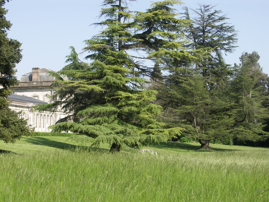 Parc. Vue depuis la terrasse sud-ouest.