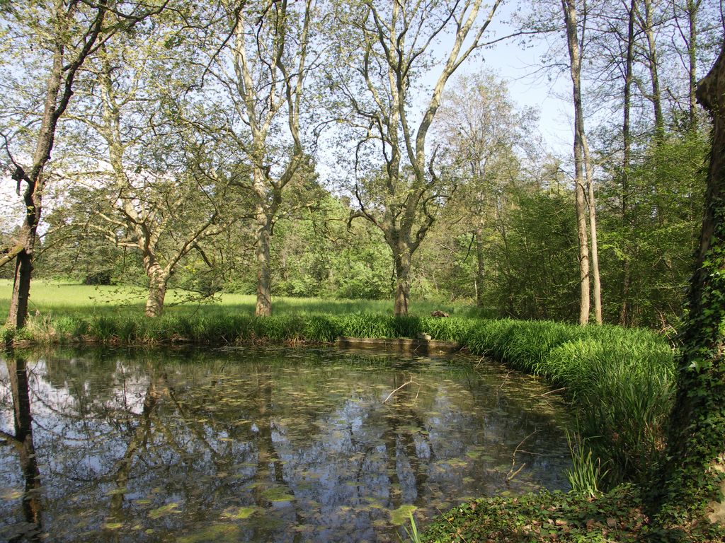 Parc. La pièce d’eau.