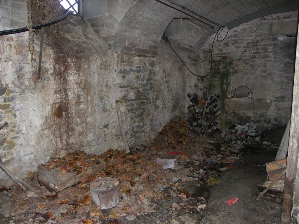 Château. Intérieur. Extrémité ouest. Cave citerne et à l’amenée d’eau de la source.