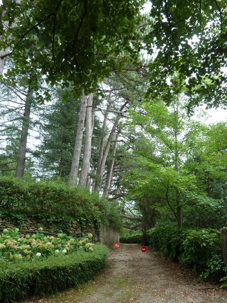 Arrivée. Allée vers le château.