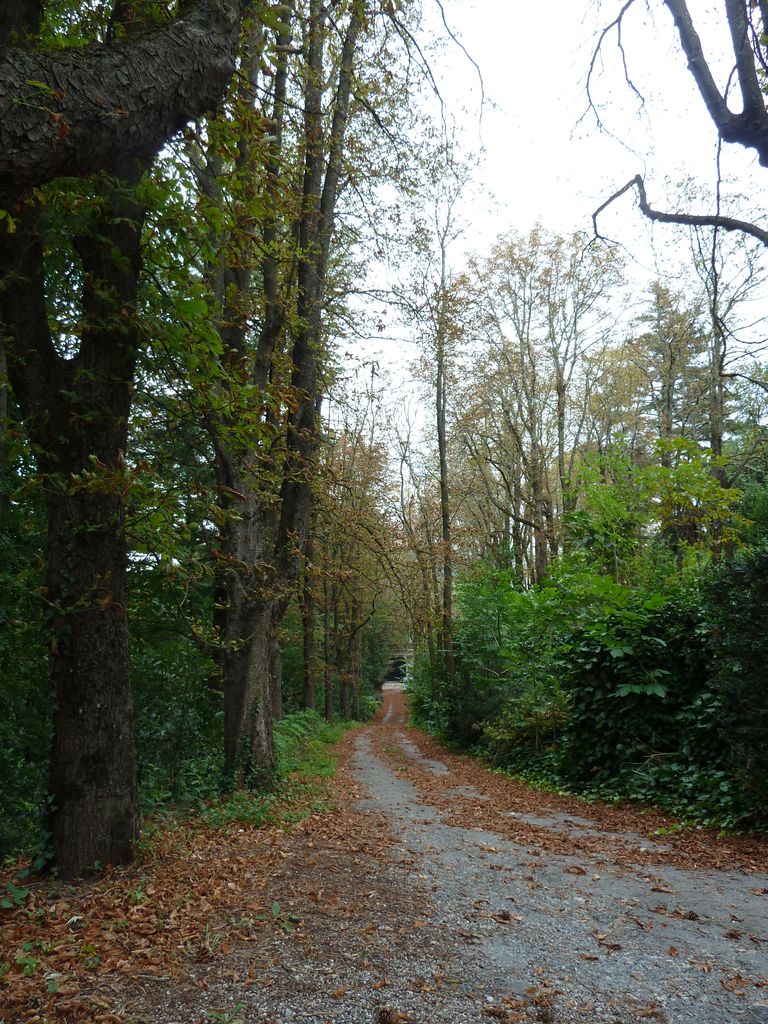 Arrivée. Allée vers le château.