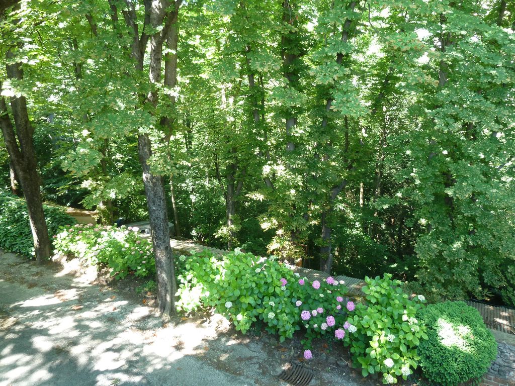 Arrivée. Allée menant à la terrasse du château.