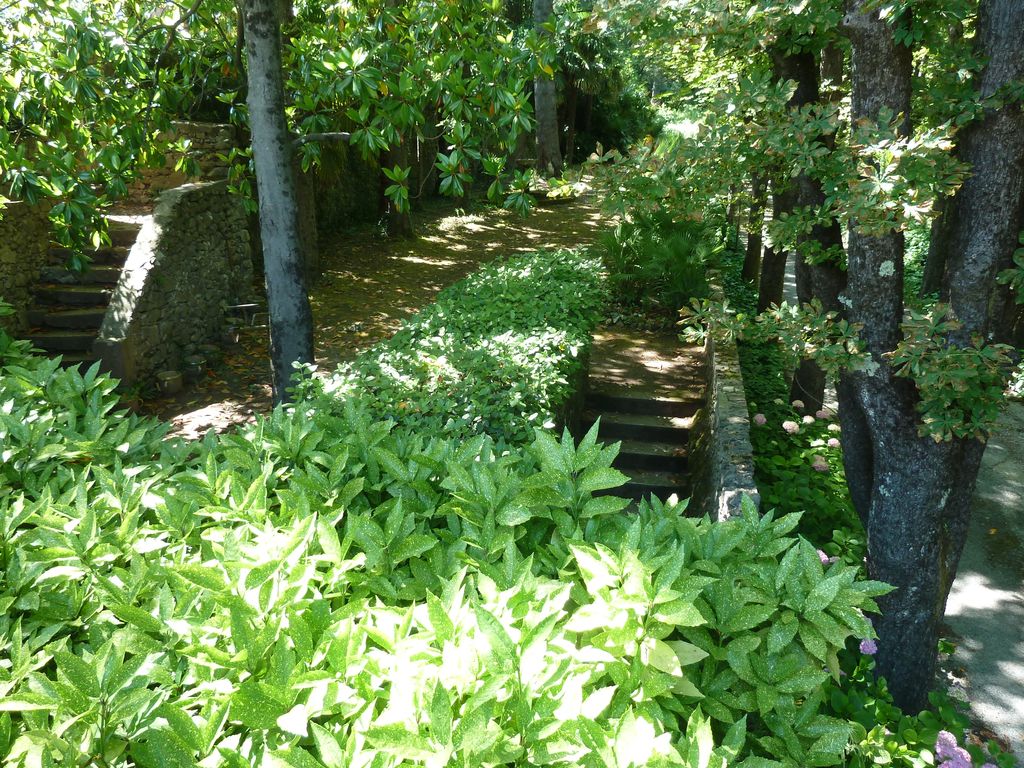 Arrivée. Allée menant à la terrasse du château.