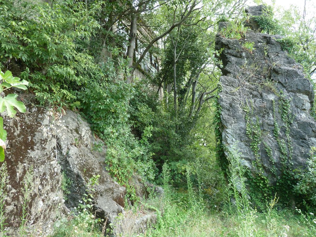 Serres côté sud.