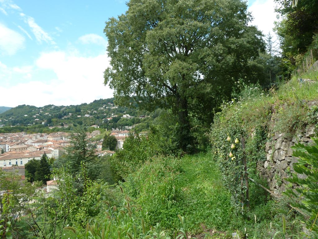 Potager, verger côté sud.