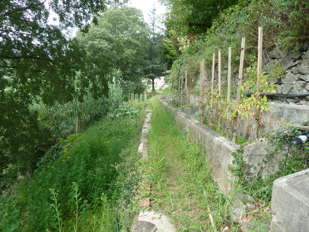 Potager, verger côté sud.