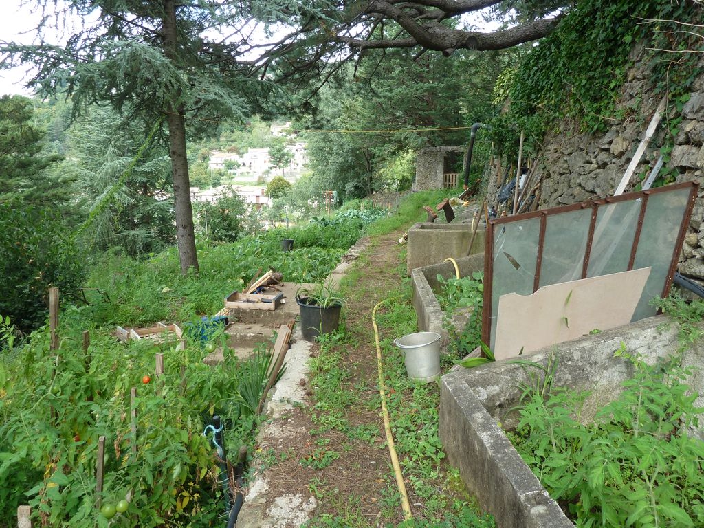 Potager, verger côté sud.