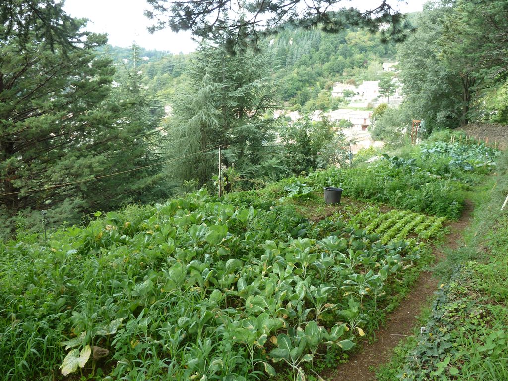 Potager, verger côté sud.