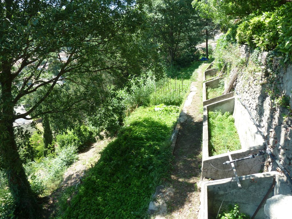 Potager, verger côté sud.