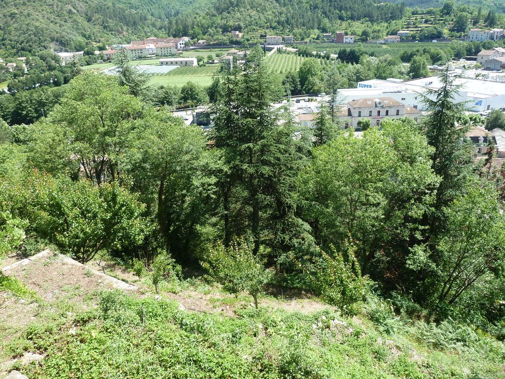 Potager, verger côté sud.