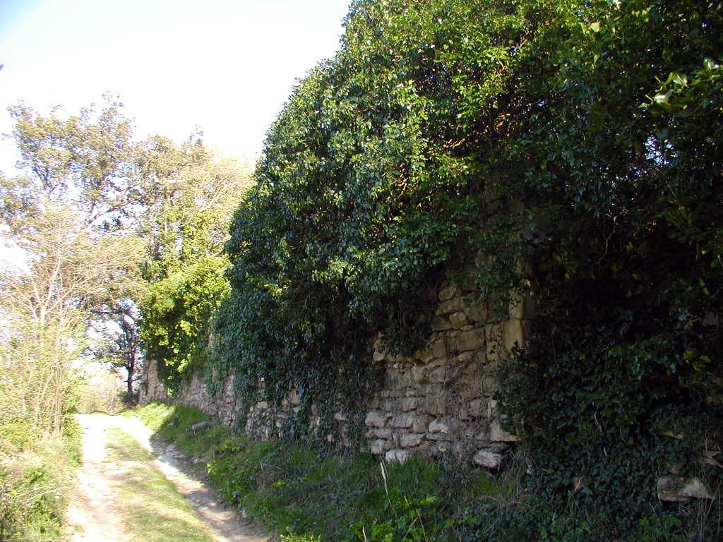 Jardin. Mur côté chemin.