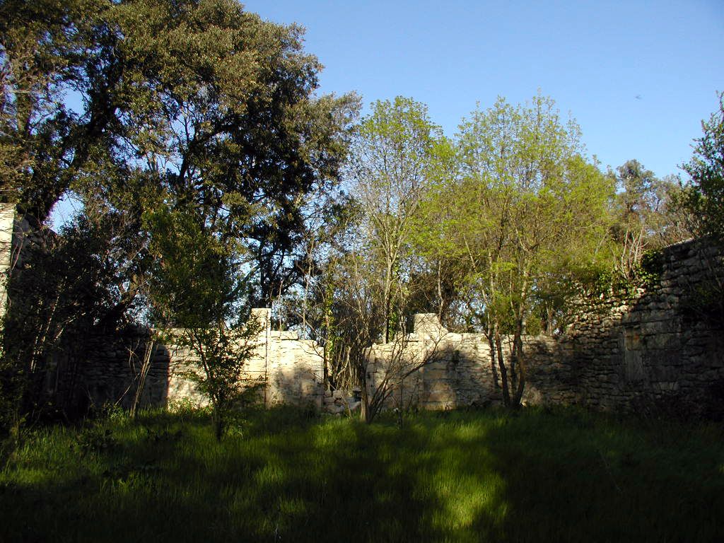  Jardin. Entrée centrale.