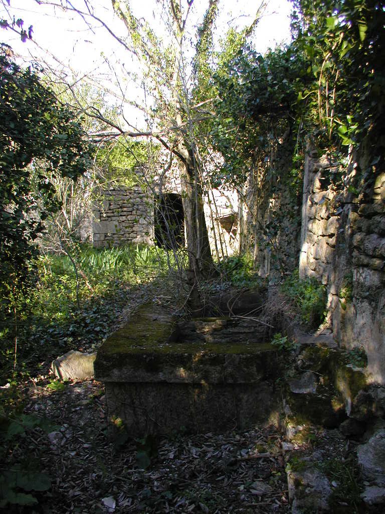 Jardin. Bassin devant pavillon.