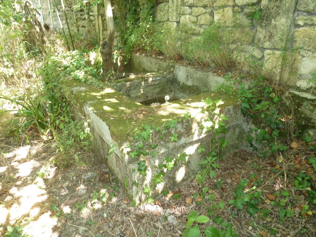 Jardin. Bassin et canalisation devant pavillon.