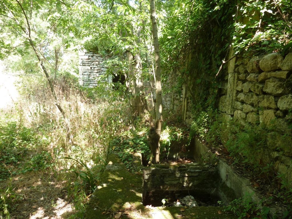 Jardin. Bassin et canalisation devant pavillon.