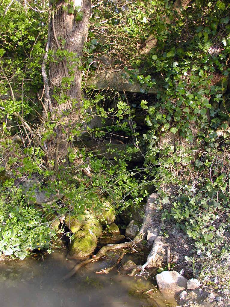 Jardin. Ecoulement sur chemin.