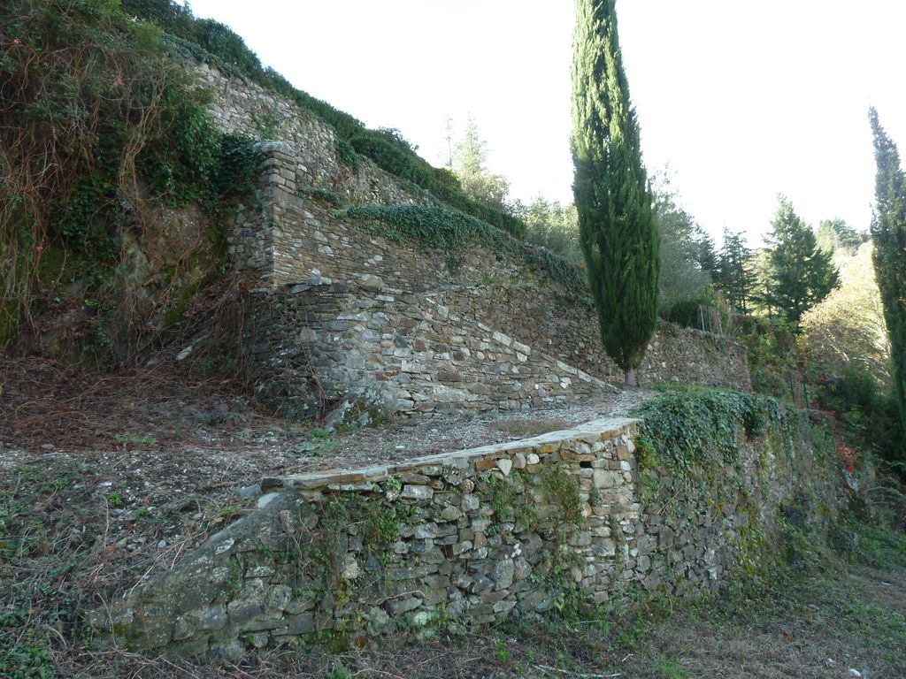 Parc. Les traversiers restaurés, vue prise le 7 novembre 2103.