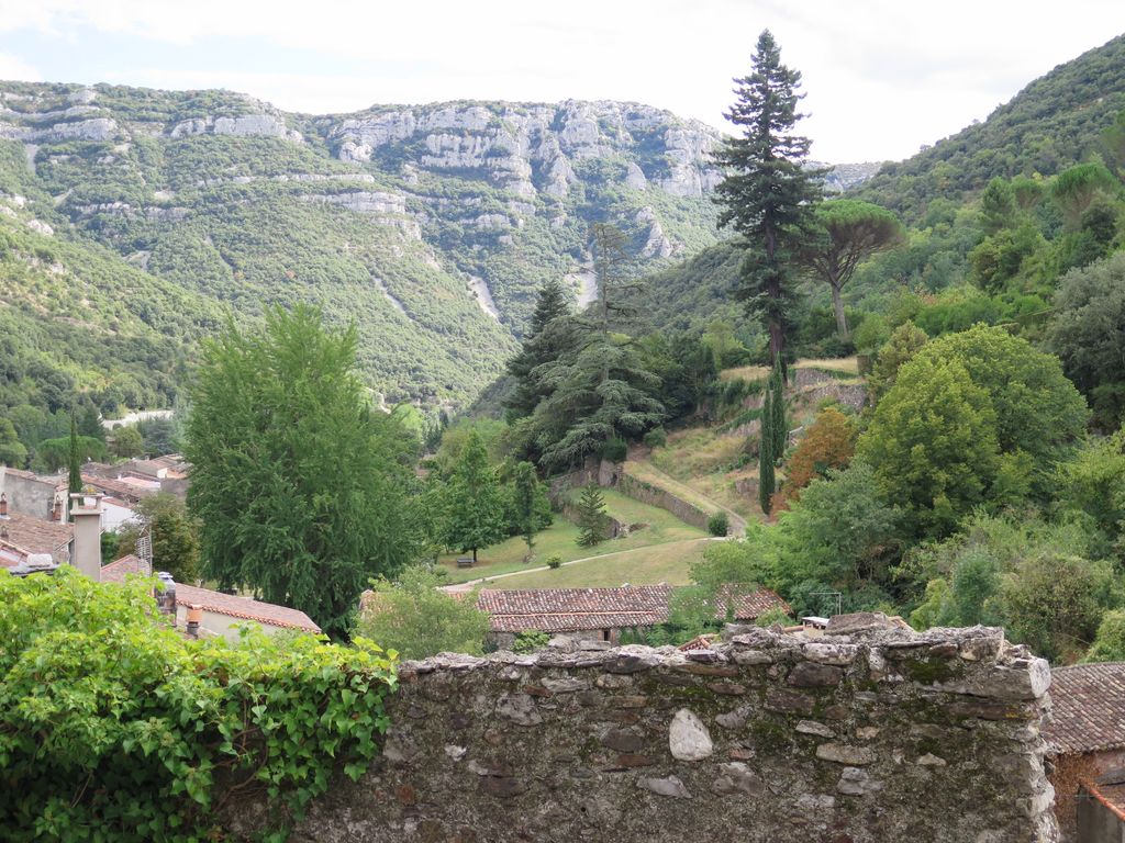 Parc. Les traversiers. Vue vers le sequoia.