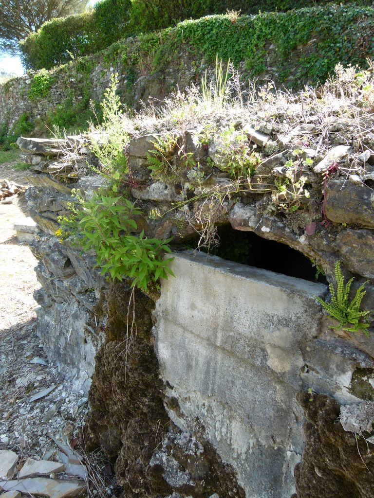 Parc. Canalisation d’eau dite mine.