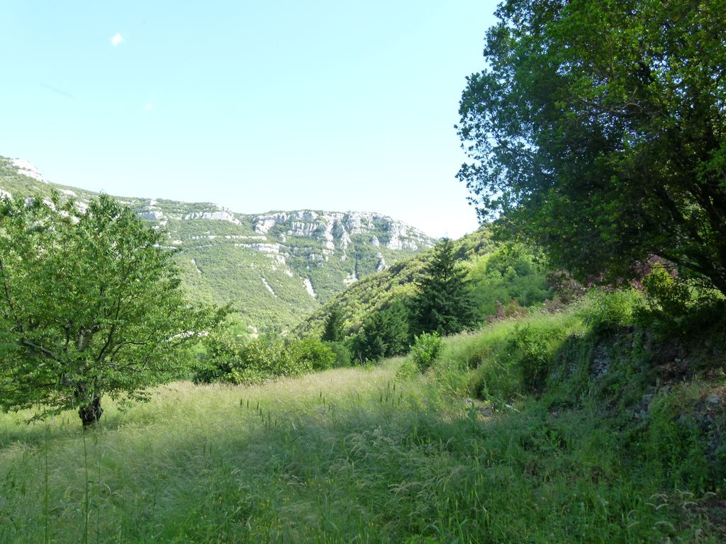 Parc. Ancien verger.