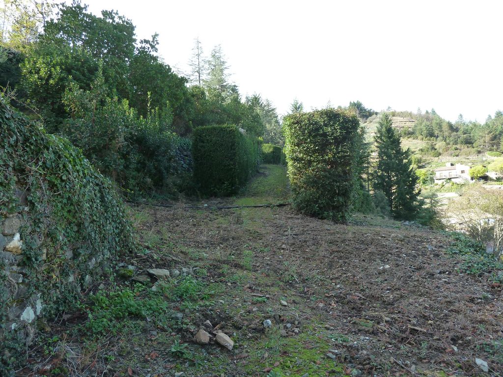 Parc. Arbres et allées. Buis taillés.