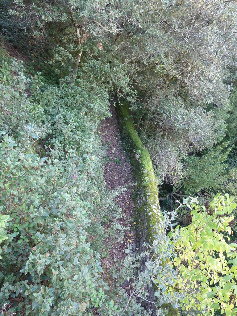 Parc. Arbres et allées. Allée sur un traversier.