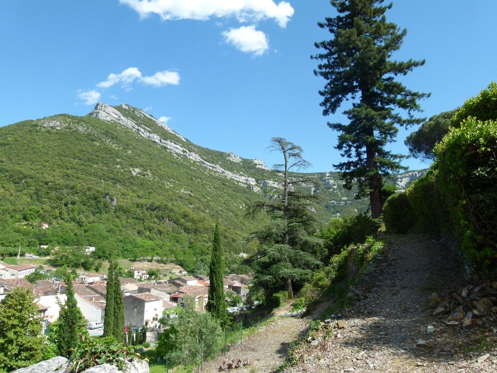 Parc. Arbres et allées.