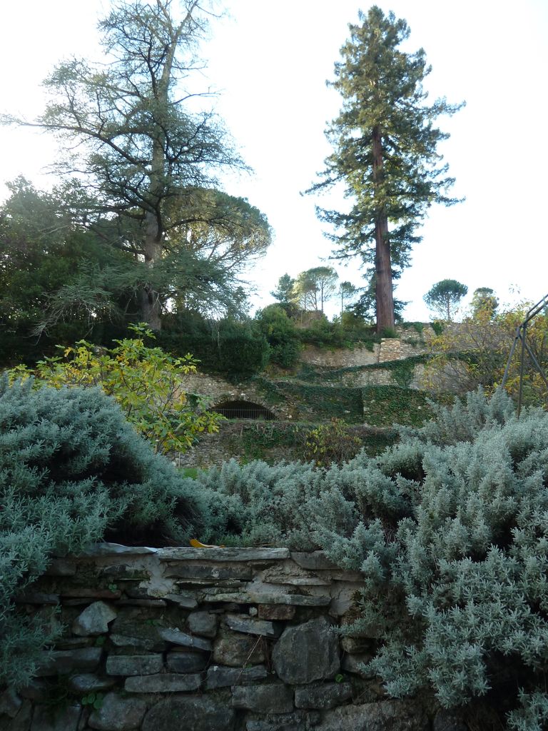 Parc. Arbres et allées. Traversiers et sequoia.