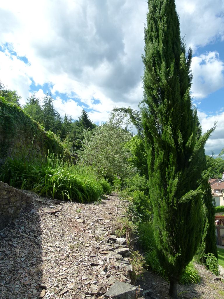 Parc. Arbres et allées. Cyprès.