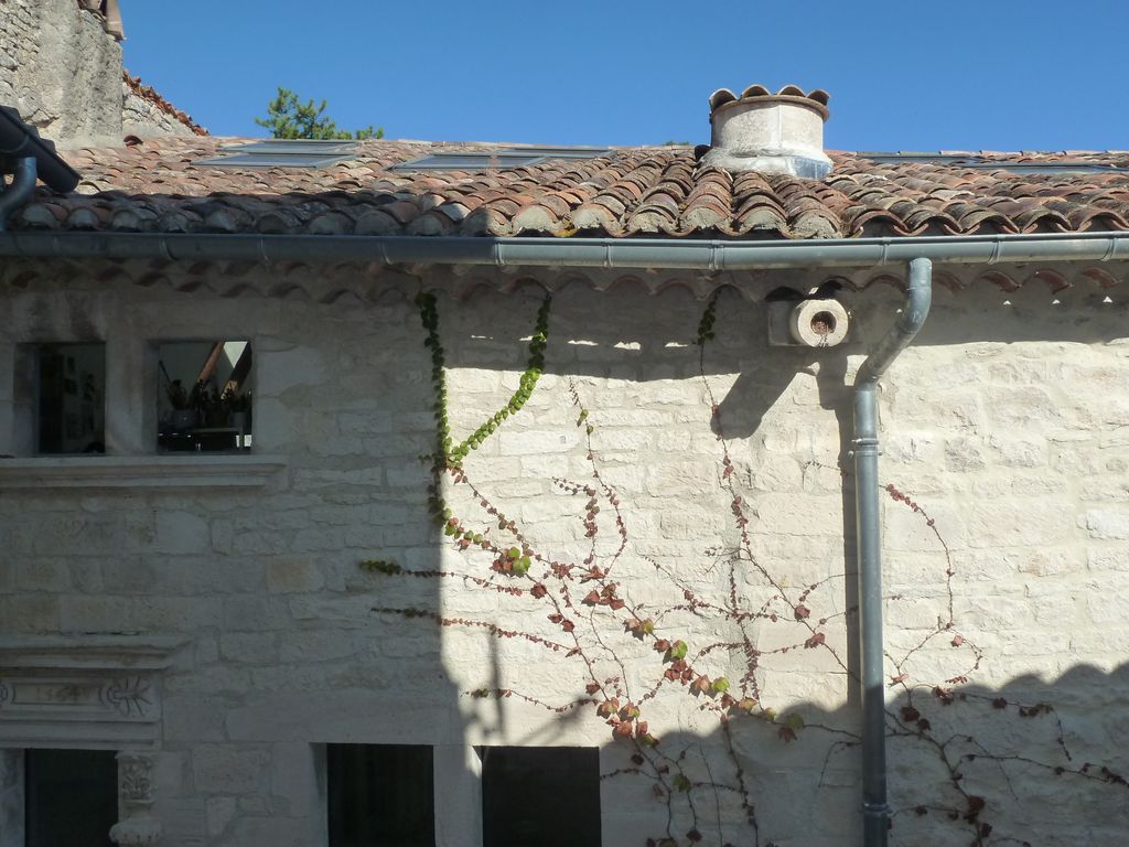 Cour intérieure. Souche de cheminée médiévale.