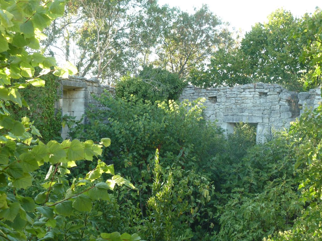 Parc. Mur de clôture. Bâtiment nord-ouest. 