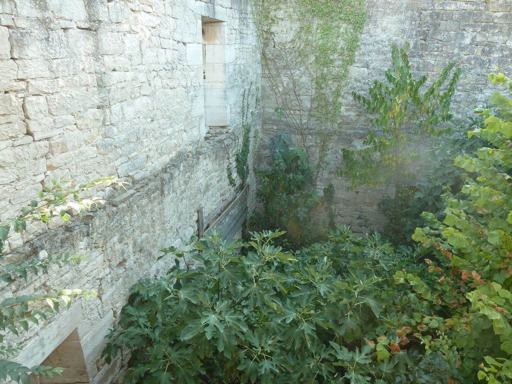 Parc. Mur de clôture. Bâtiment nord-ouest. 