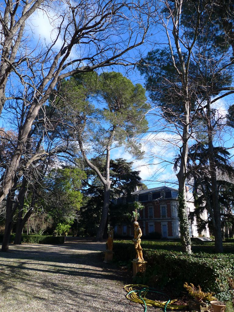 Allée donnant sur la façade nord du château