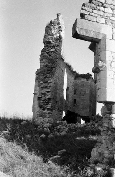 Vestiges mur d'enceinte, de l'extérieure.