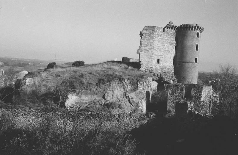 Vestiges, donjon et mur d'enceinte.