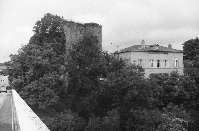 Vue d'ensemble, façade extérieure et donjon.